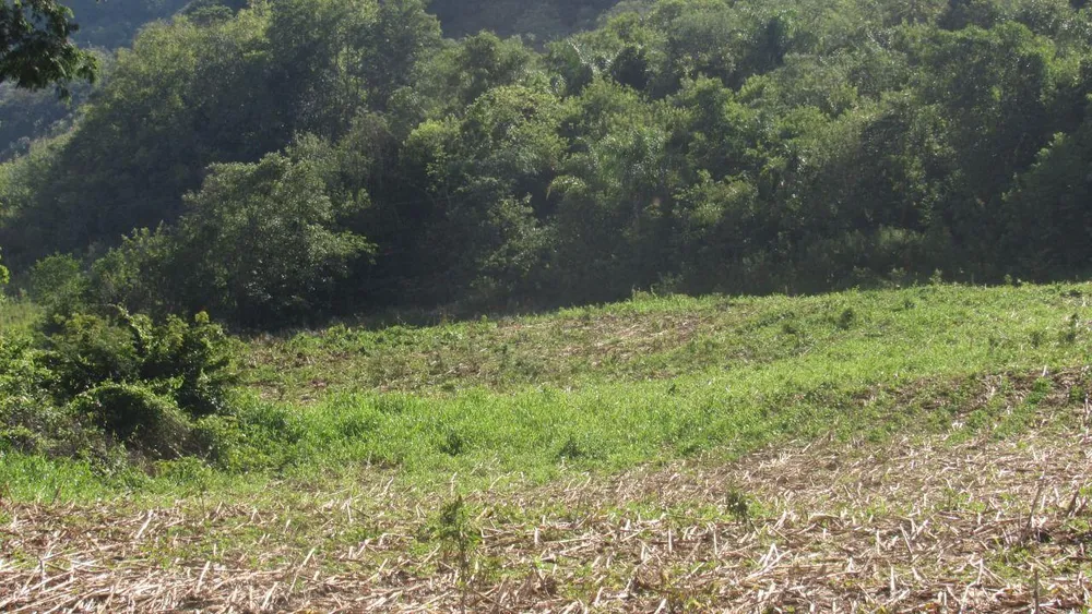 Loteamento e Condomínio, 20 hectares - Foto 7