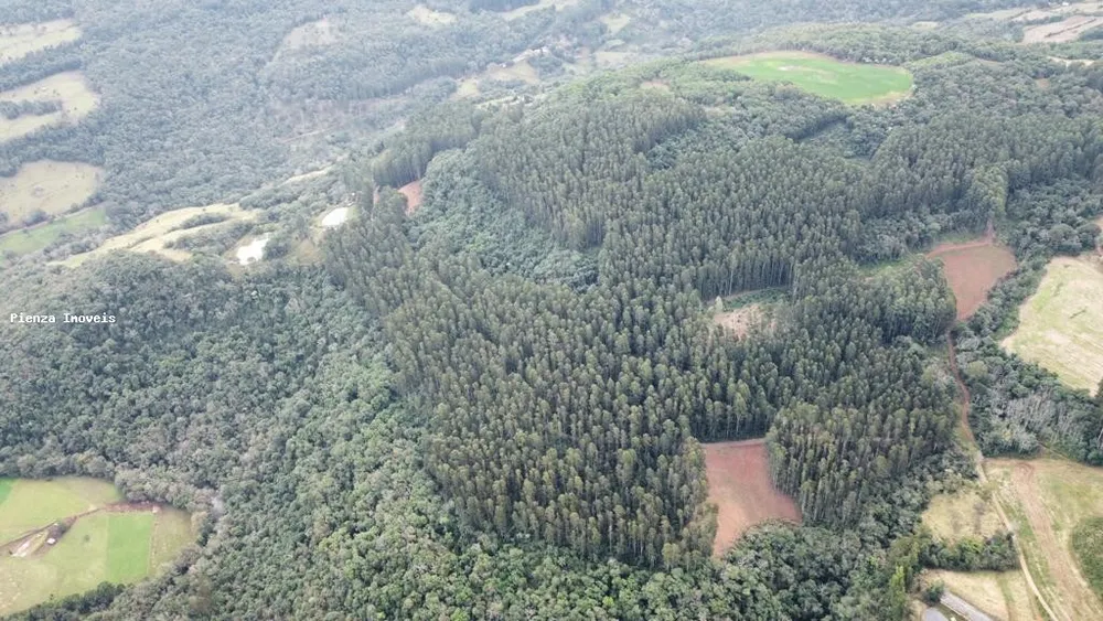 Loteamento e Condomínio, 35 hectares - Foto 10