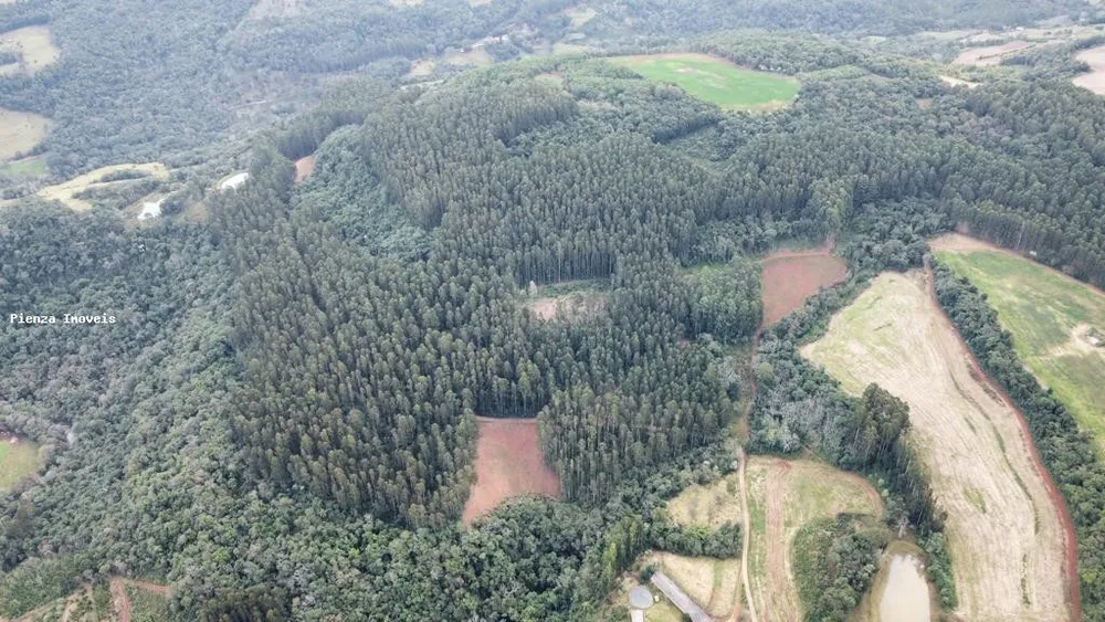 Loteamento e Condomínio, 35 hectares - Foto 1