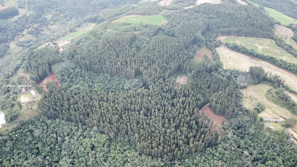 Loteamento e Condomínio, 35 hectares - Foto 4