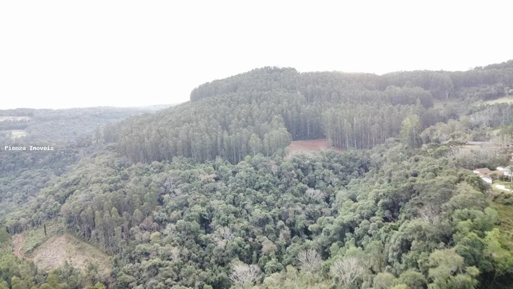 Loteamento e Condomínio, 35 hectares - Foto 6