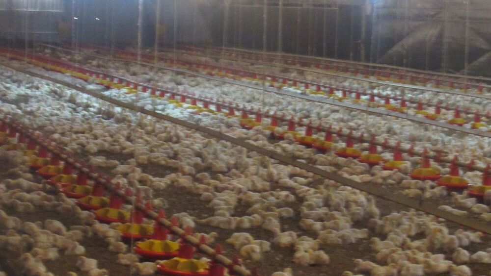 Loteamento e Condomínio, 6 hectares - Foto 22