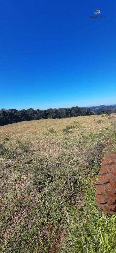 Terreno à venda, 320000M2 - Foto 5