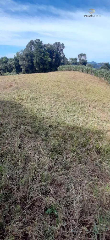 Terreno à venda, 320000M2 - Foto 3