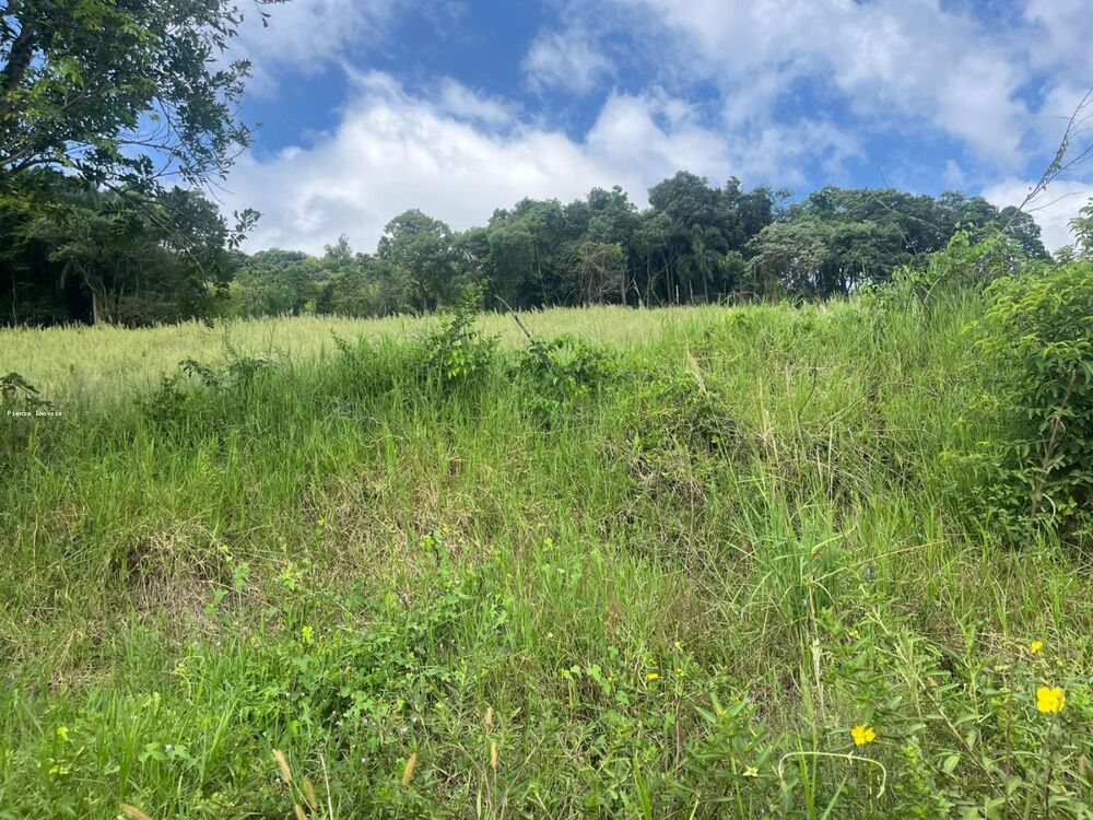 Terreno, 6 hectares - Foto 11