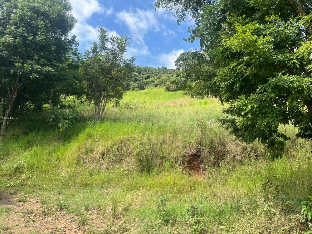 Terreno, 6 hectares - Foto 7