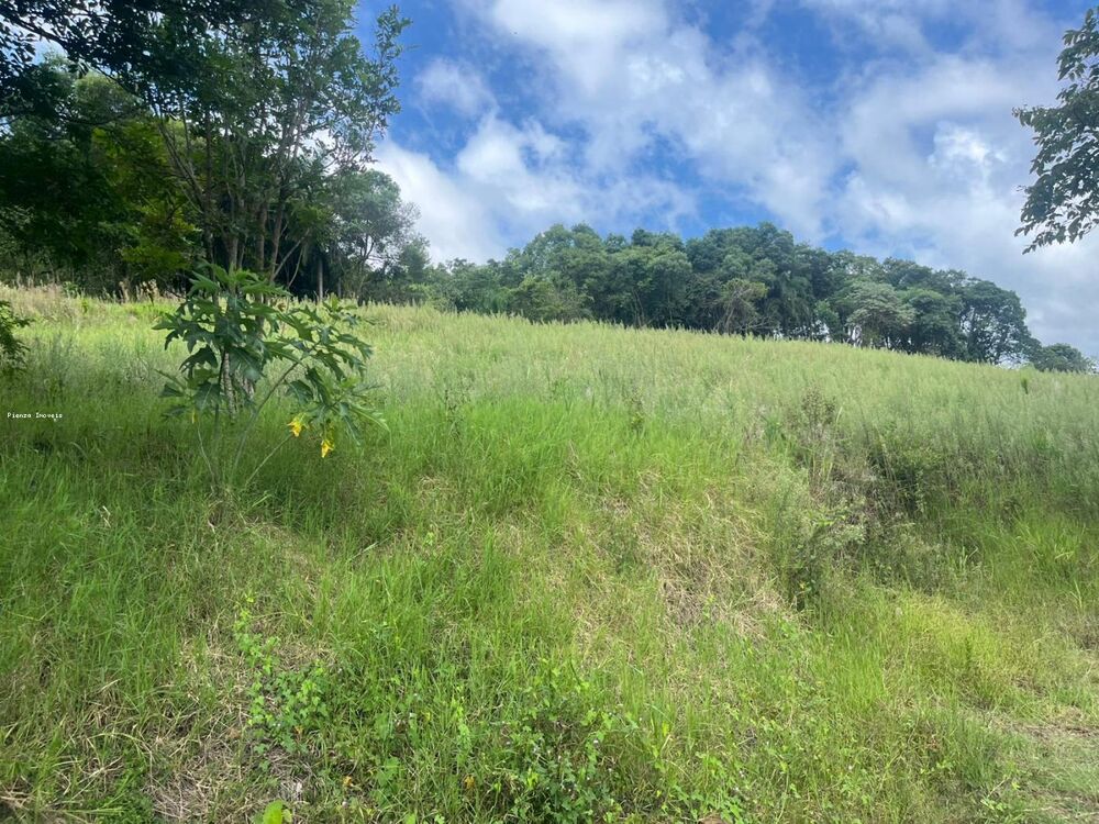 Terreno, 6 hectares - Foto 13