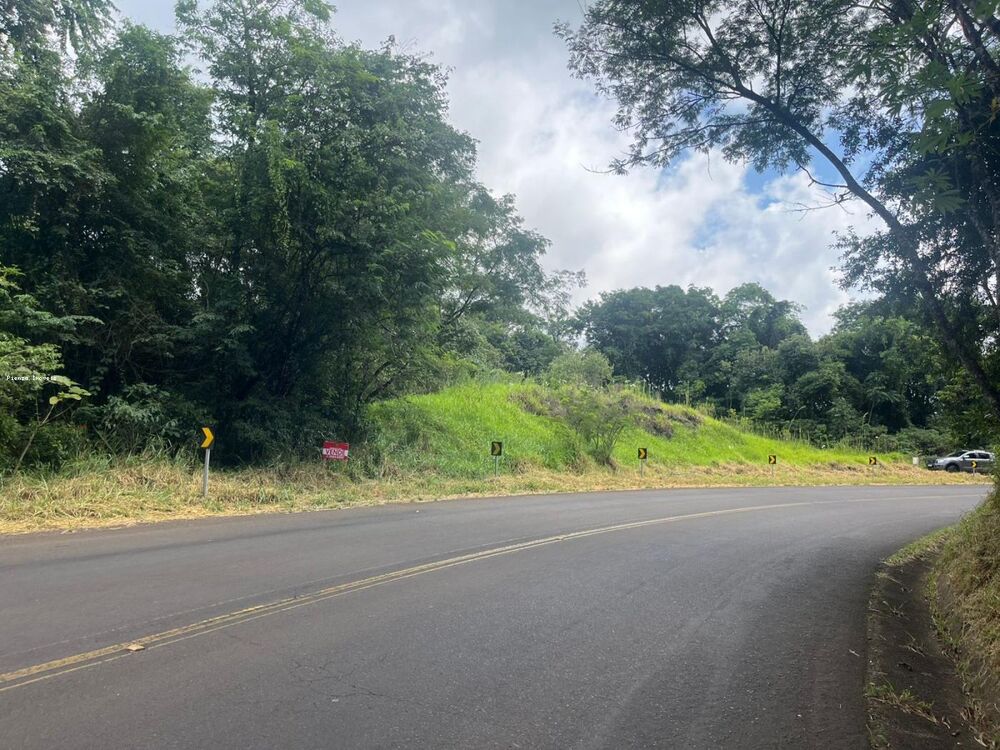 Terreno, 6 hectares - Foto 18