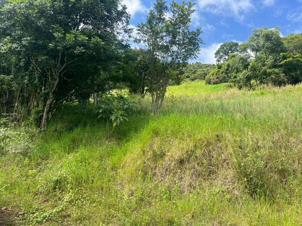 Terreno, 6 hectares - Foto 8