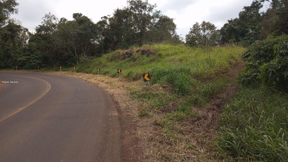 Terreno, 6 hectares - Foto 4