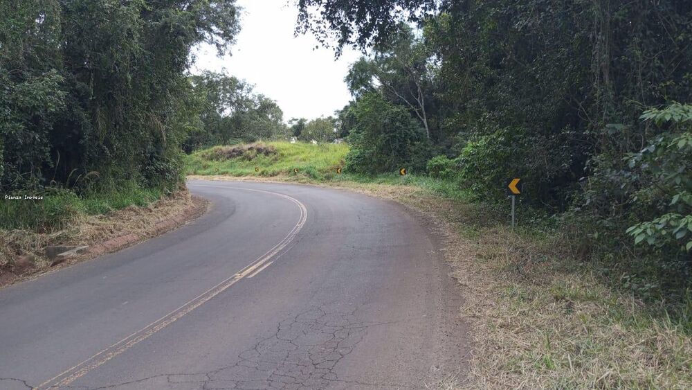 Terreno, 6 hectares - Foto 5