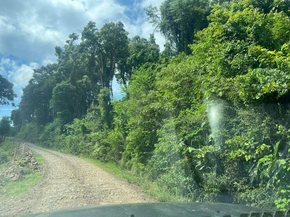 Terreno, 6 hectares - Foto 12