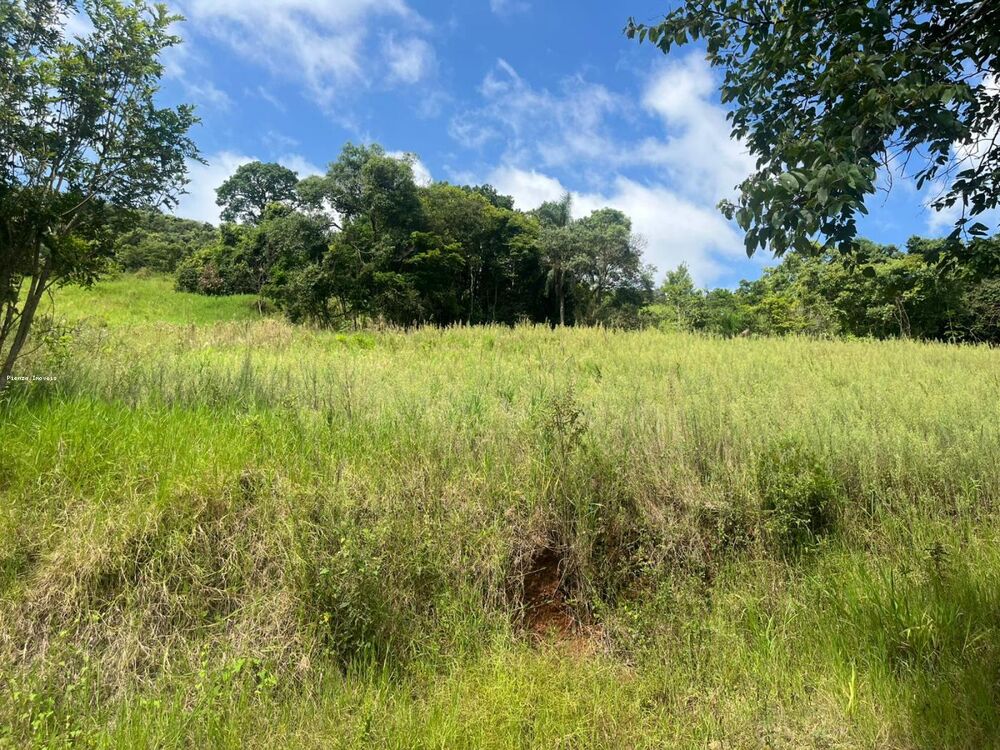 Terreno, 6 hectares - Foto 9