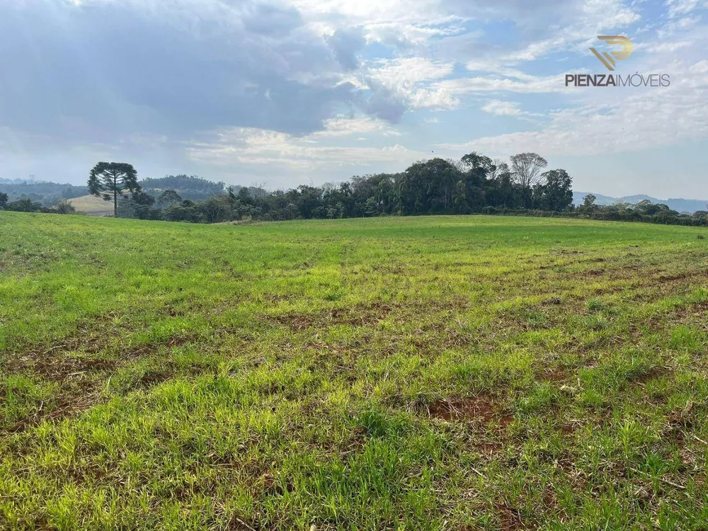 Terreno à venda, 30000M2 - Foto 1