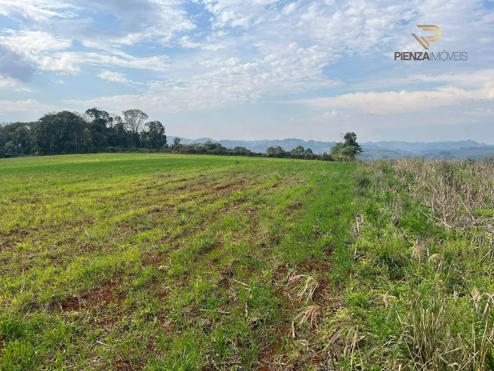 Terreno à venda, 30000M2 - Foto 2