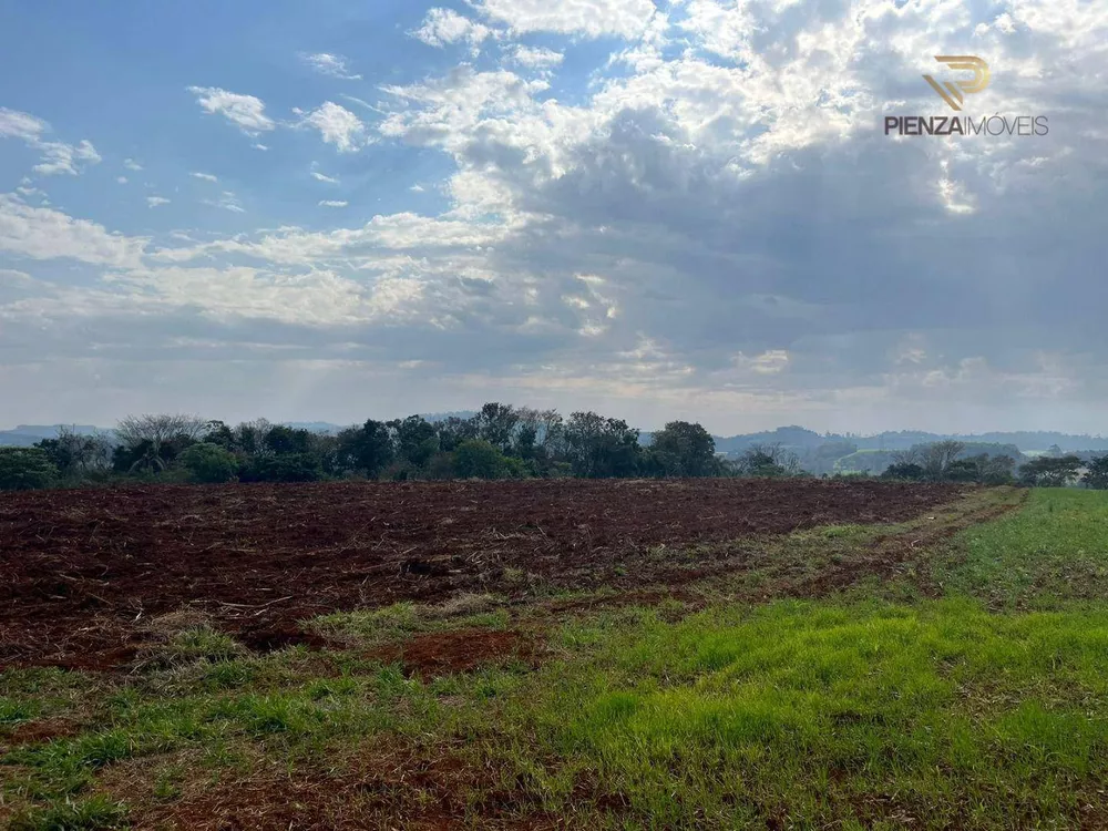 Terreno à venda, 30000M2 - Foto 4