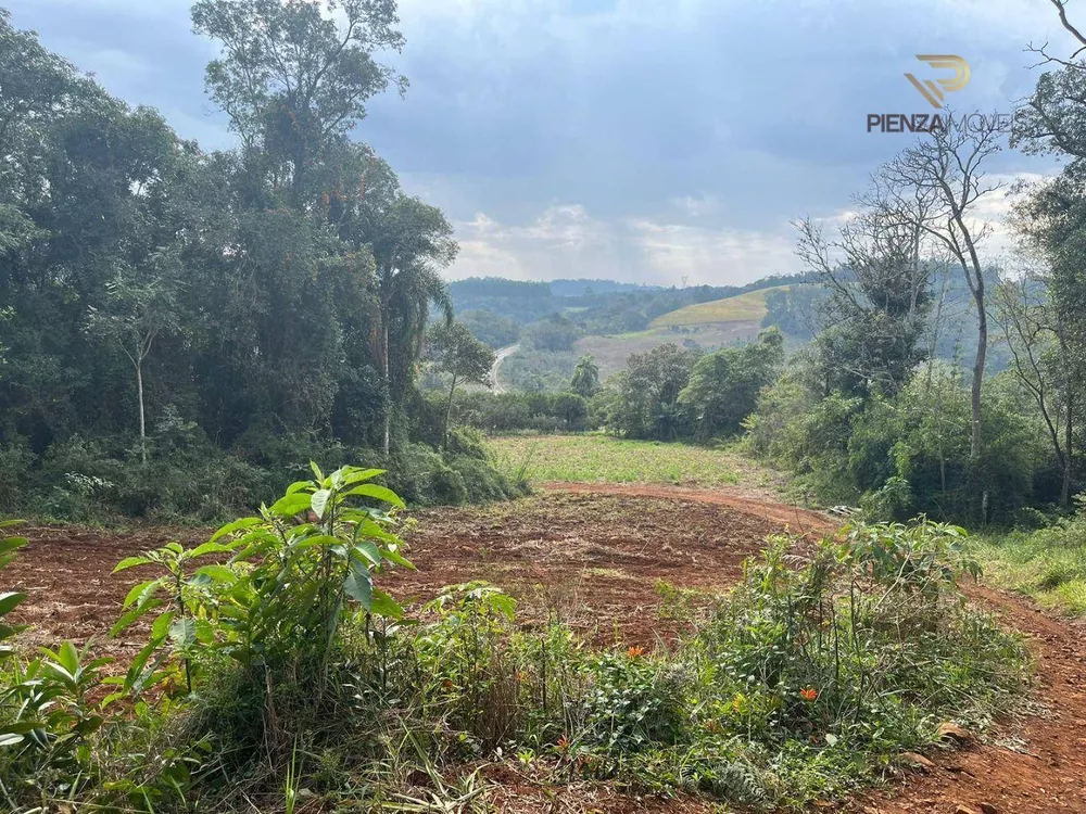 Terreno à venda, 30000M2 - Foto 8