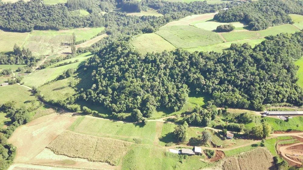 Loteamento e Condomínio, 12 hectares - Foto 6