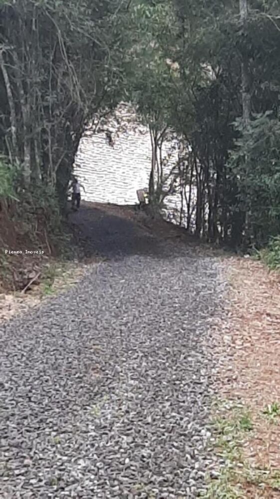 Sítio, 2 quartos, 1000 m² - Foto 4