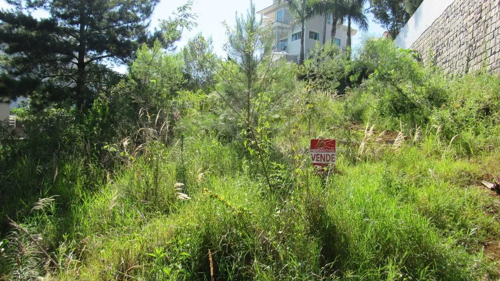 Terreno, 452 m² - Foto 1