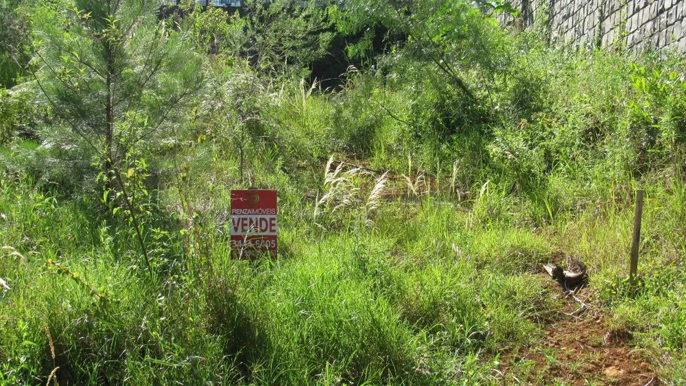 Terreno, 452 m² - Foto 6