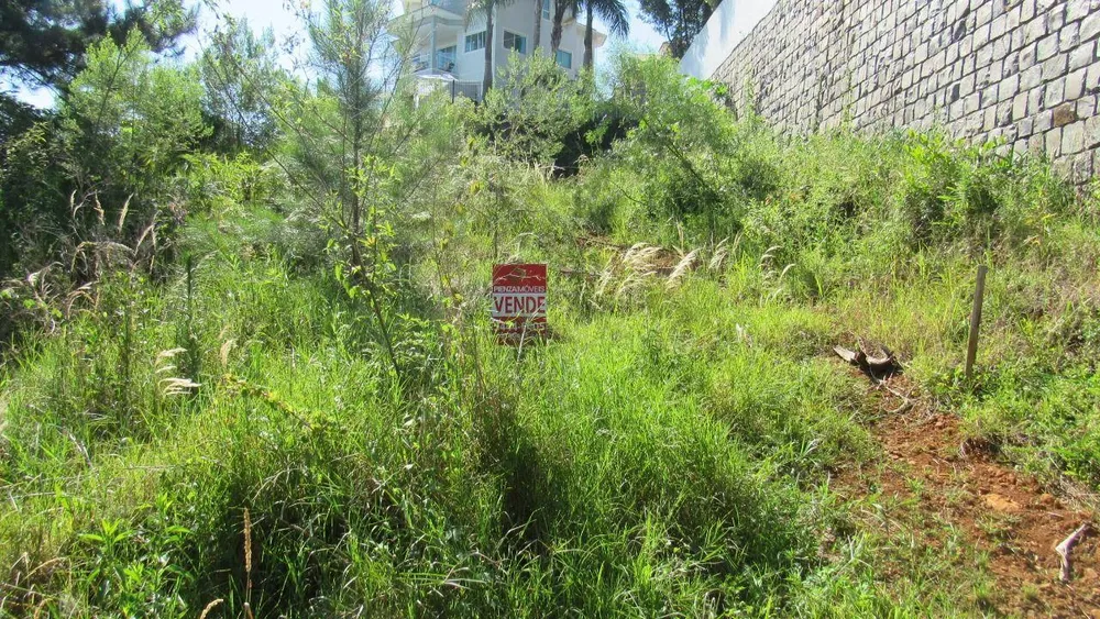 Terreno, 452 m² - Foto 5