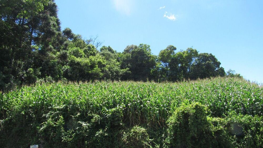 Terreno, 401 m² - Foto 2