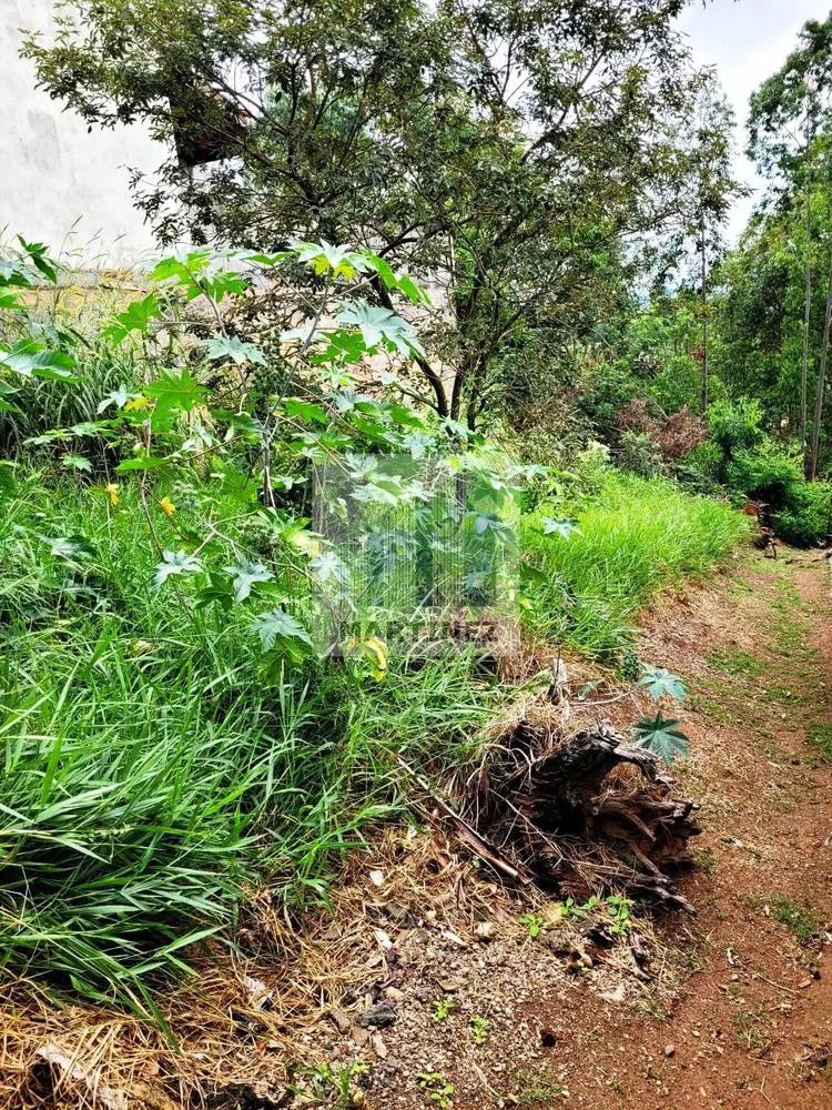 Terreno, 250 m² - Foto 5