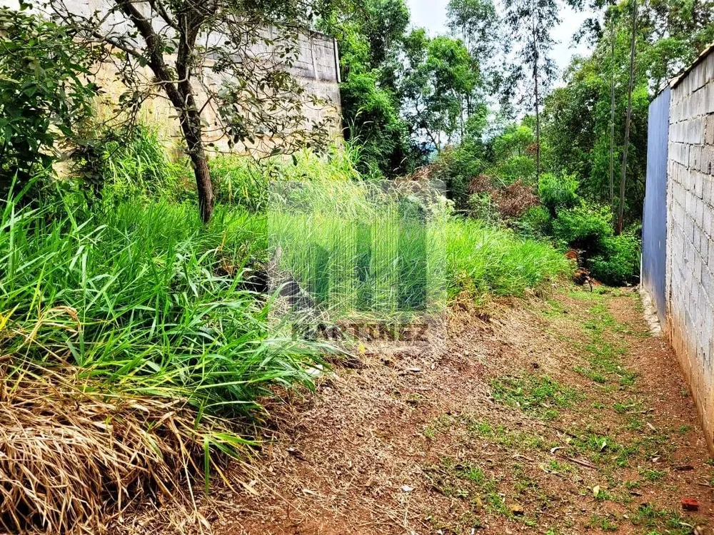 Terreno, 250 m² - Foto 8