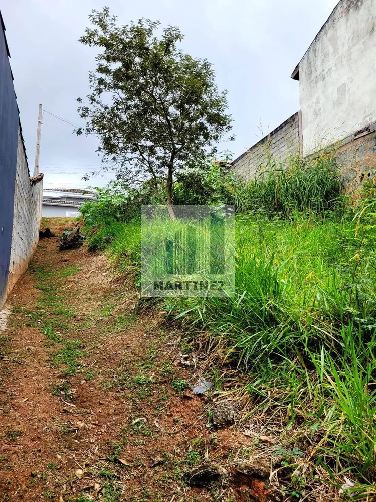 Terreno, 250 m² - Foto 4