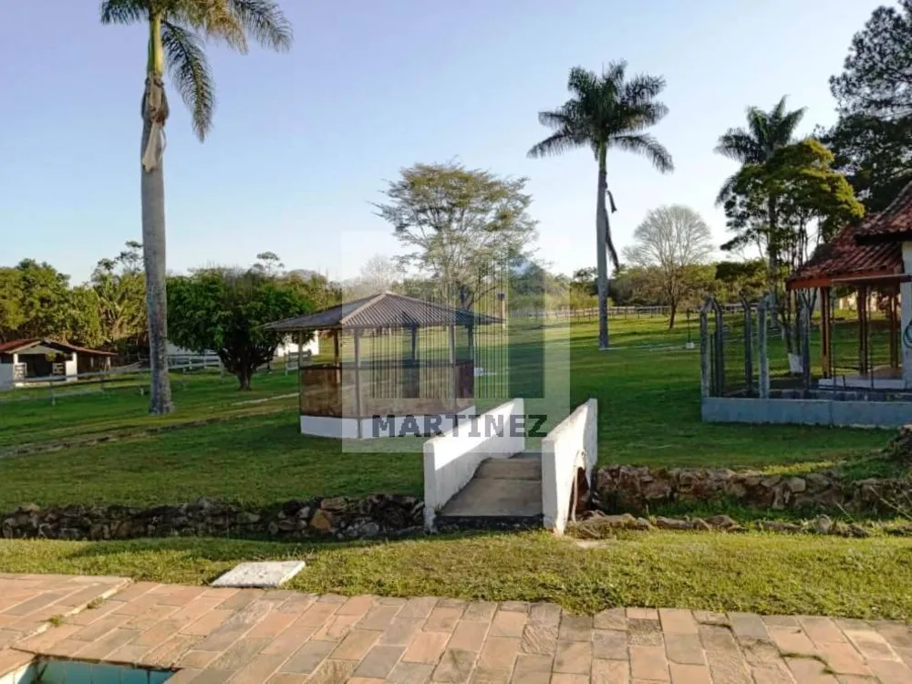 Sítio, 4 quartos, 2 hectares - Foto 4
