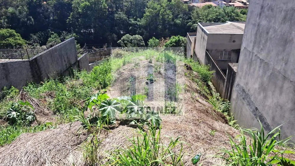 Terreno, 512 m² - Foto 4