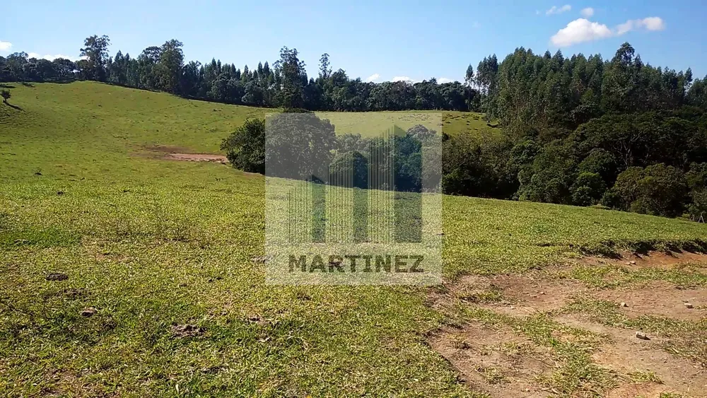 Sítio, 3 quartos, 500 m² - Foto 10