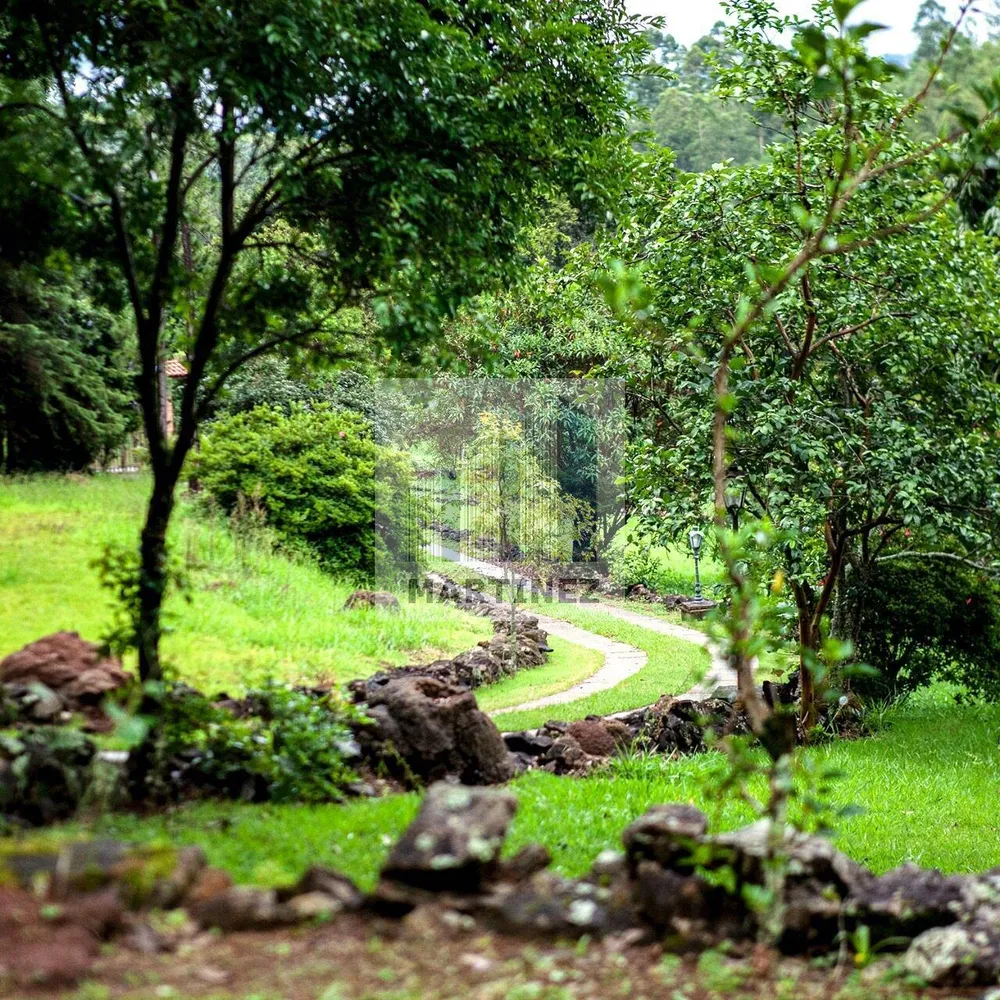 Sítio, 3 quartos, 4 hectares - Foto 8
