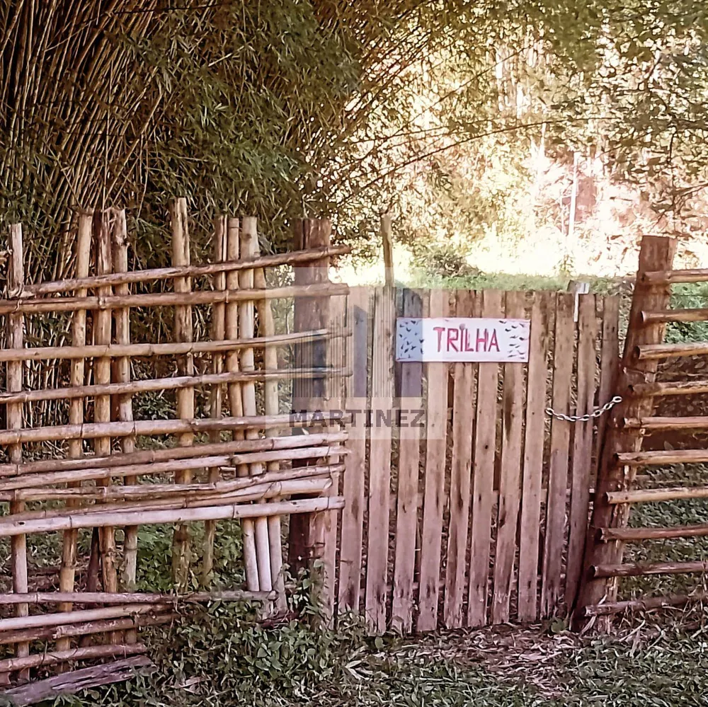 Sítio, 3 quartos, 4 hectares - Foto 7
