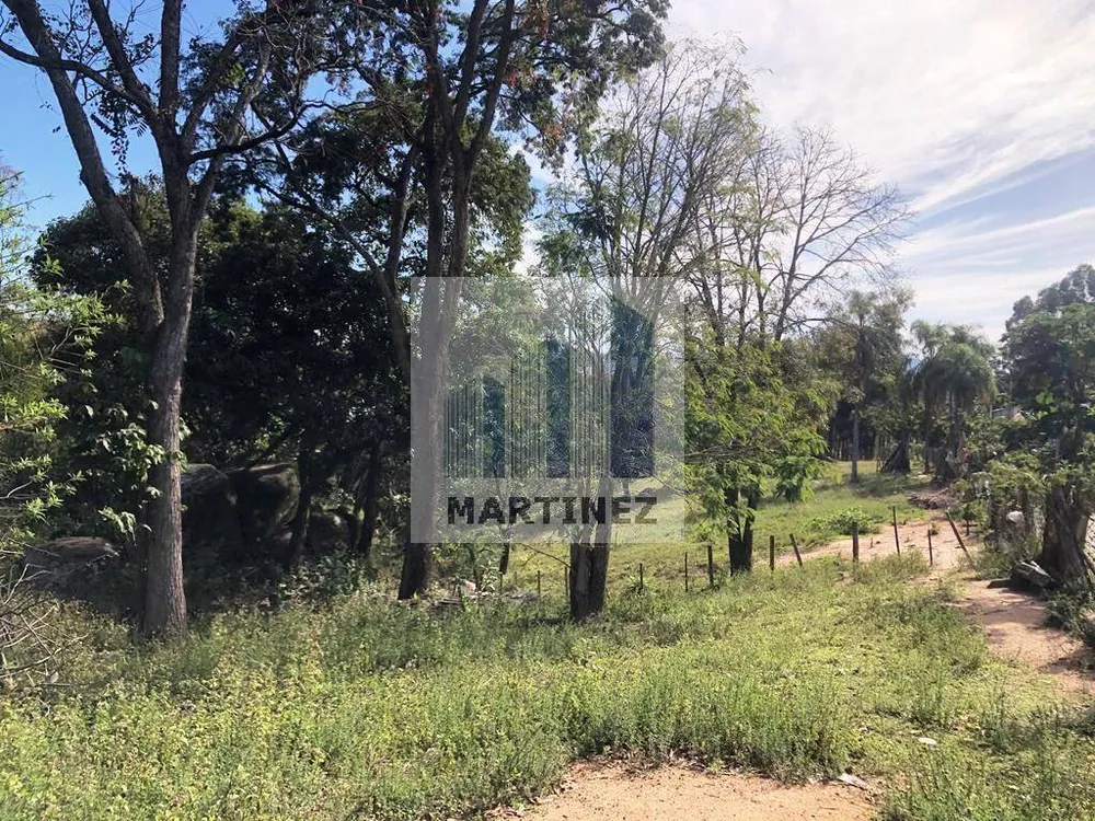 Terreno, 9000 m² - Foto 8