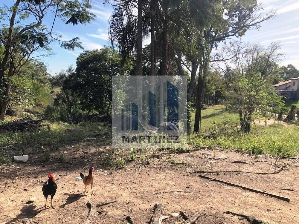 Terreno, 9000 m² - Foto 6