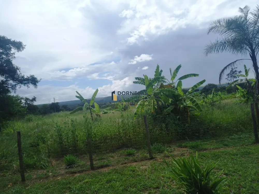 Chácara, 3 quartos, 2 hectares - Foto 19
