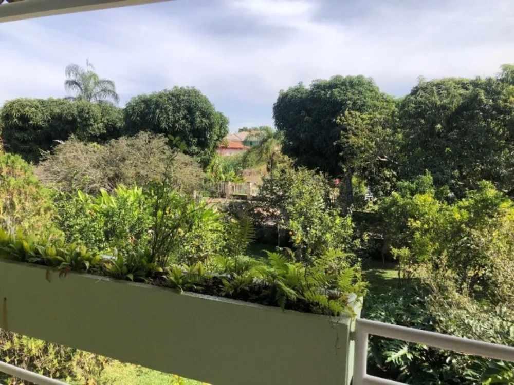 Casa, 4 quartos, 594 m² - Foto 9