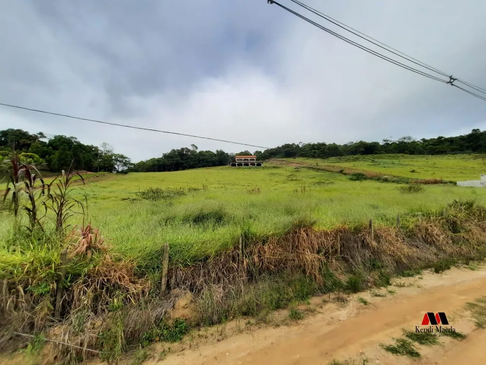 Sítio, 3 quartos, 10000 m² - Foto 3