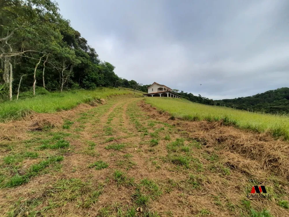 Sítio, 3 quartos, 10000 m² - Foto 2