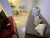 Flat/Apart Hotel, 1 quarto, 35 m² - Foto 7