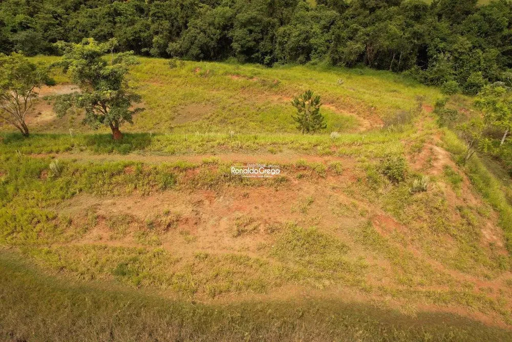 Terreno, 10 hectares - Foto 4