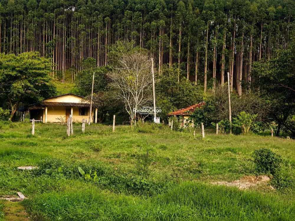 Fazenda, 761 hectares - Foto 8