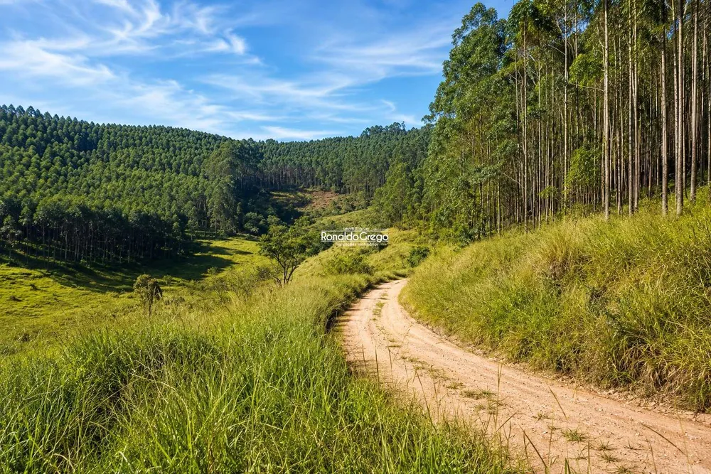 Fazenda, 761 hectares - Foto 2