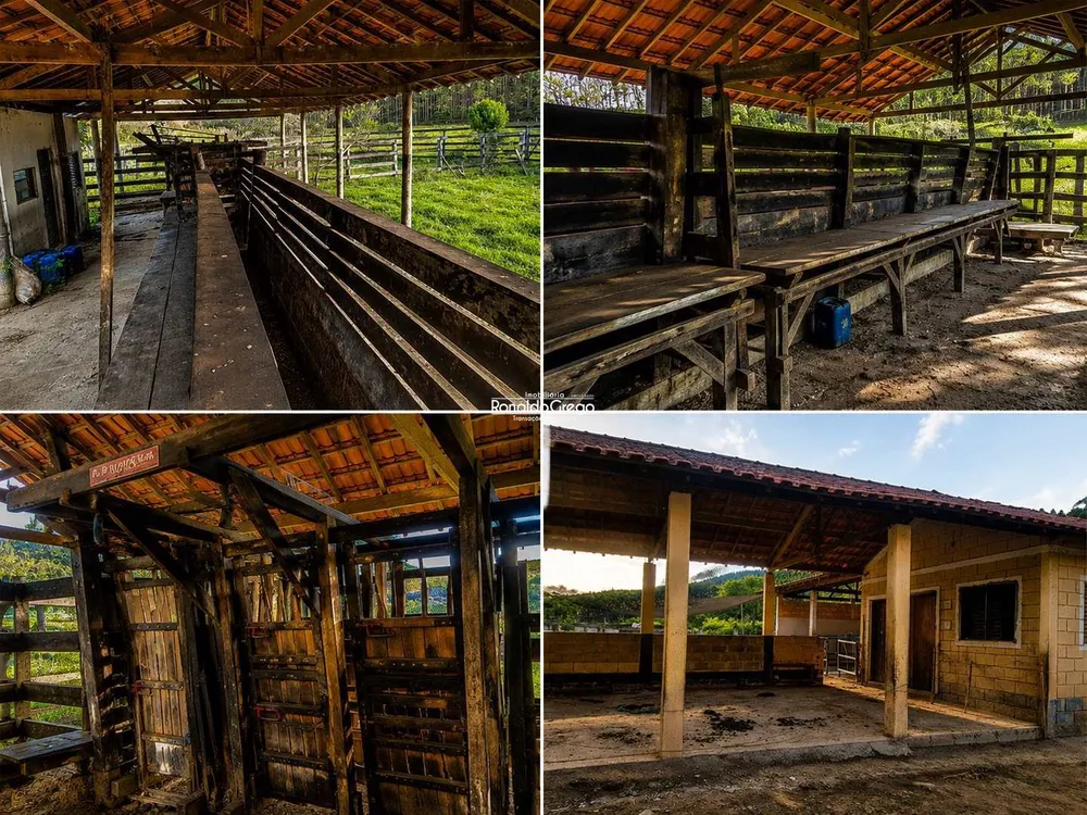 Fazenda, 761 hectares - Foto 3