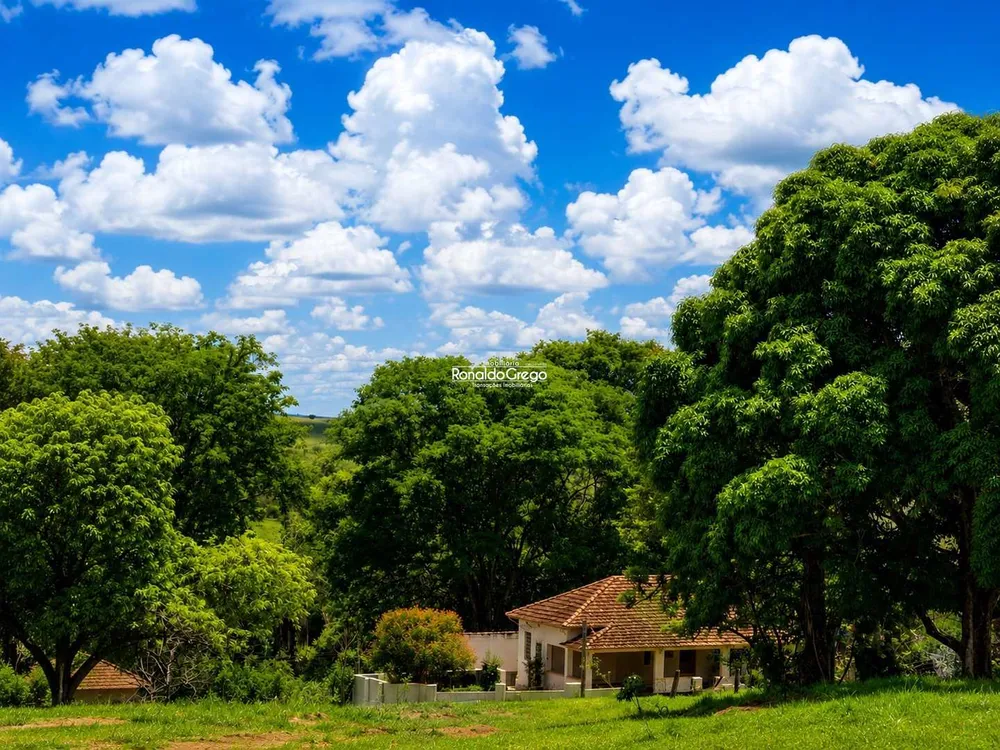 Fazenda, 82 hectares - Foto 2