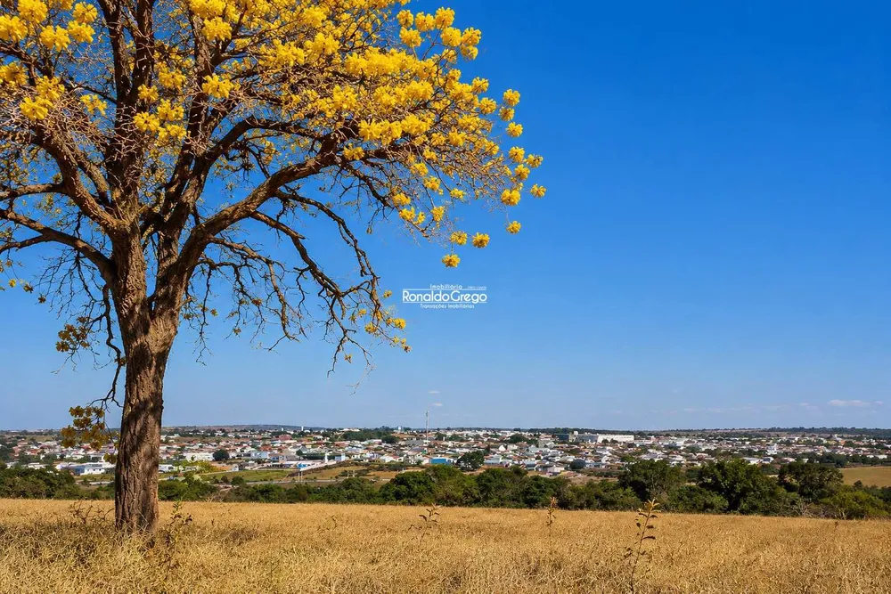 Fazenda, 82 hectares - Foto 7