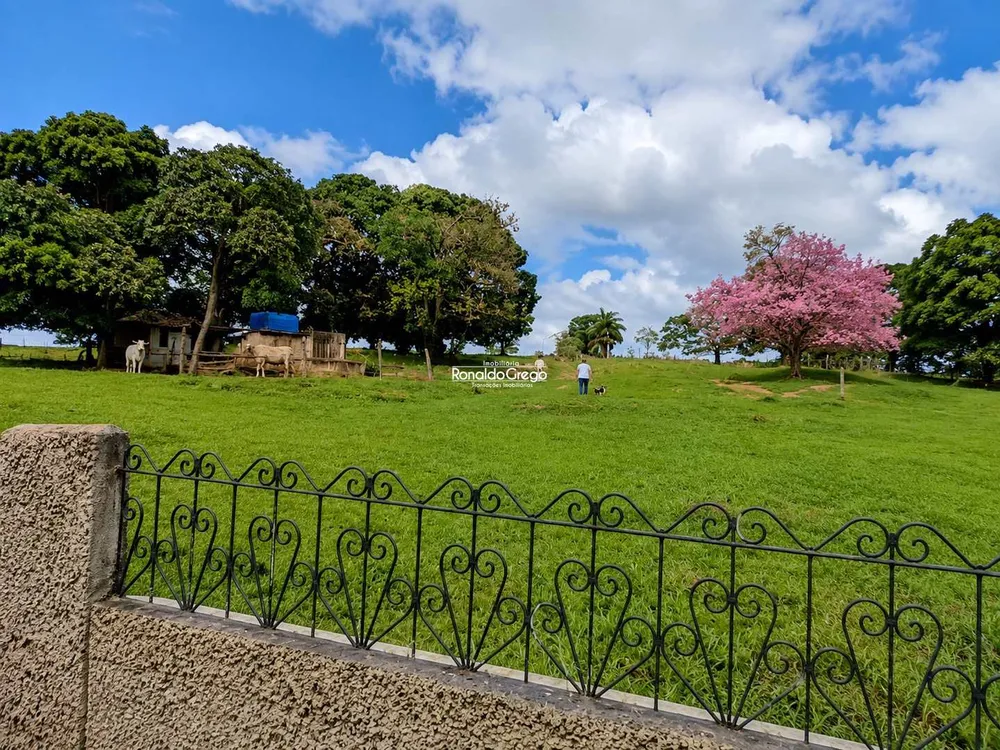 Fazenda, 82 hectares - Foto 1