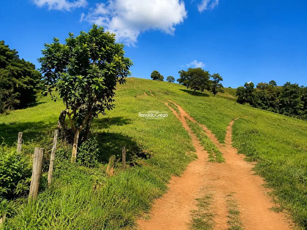 Fazenda, 298 hectares - Foto 8